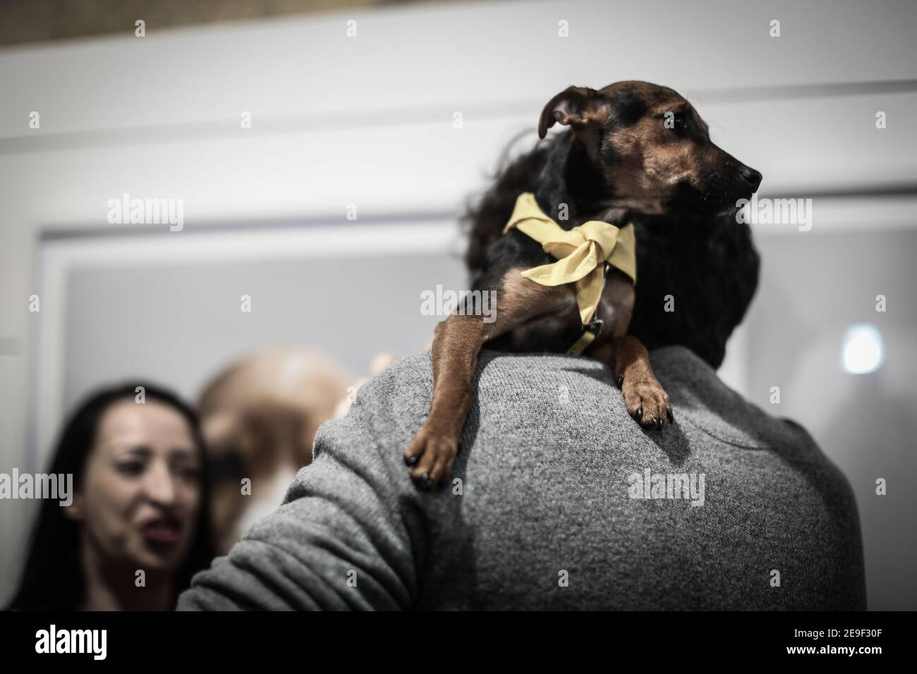 La fête de lancement et la vue privée de la Compagnie des chiens, une exposition à la Gallery de Shoreditch, Londres, avec des photos de Gerrard Gethings o Banque D'Images