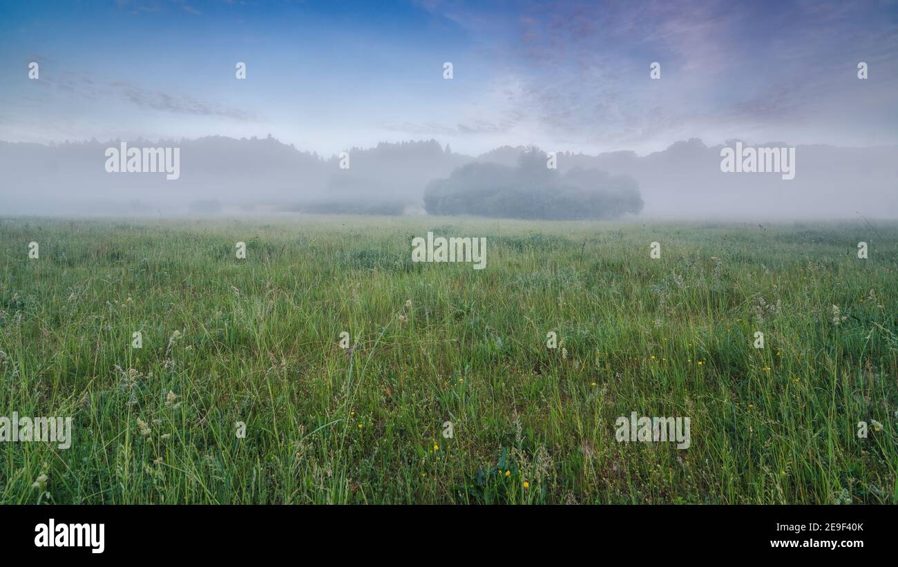 Incroyable, mystique, inimitable spectaculaire, printemps matin dans le brouillard. Banque D'Images