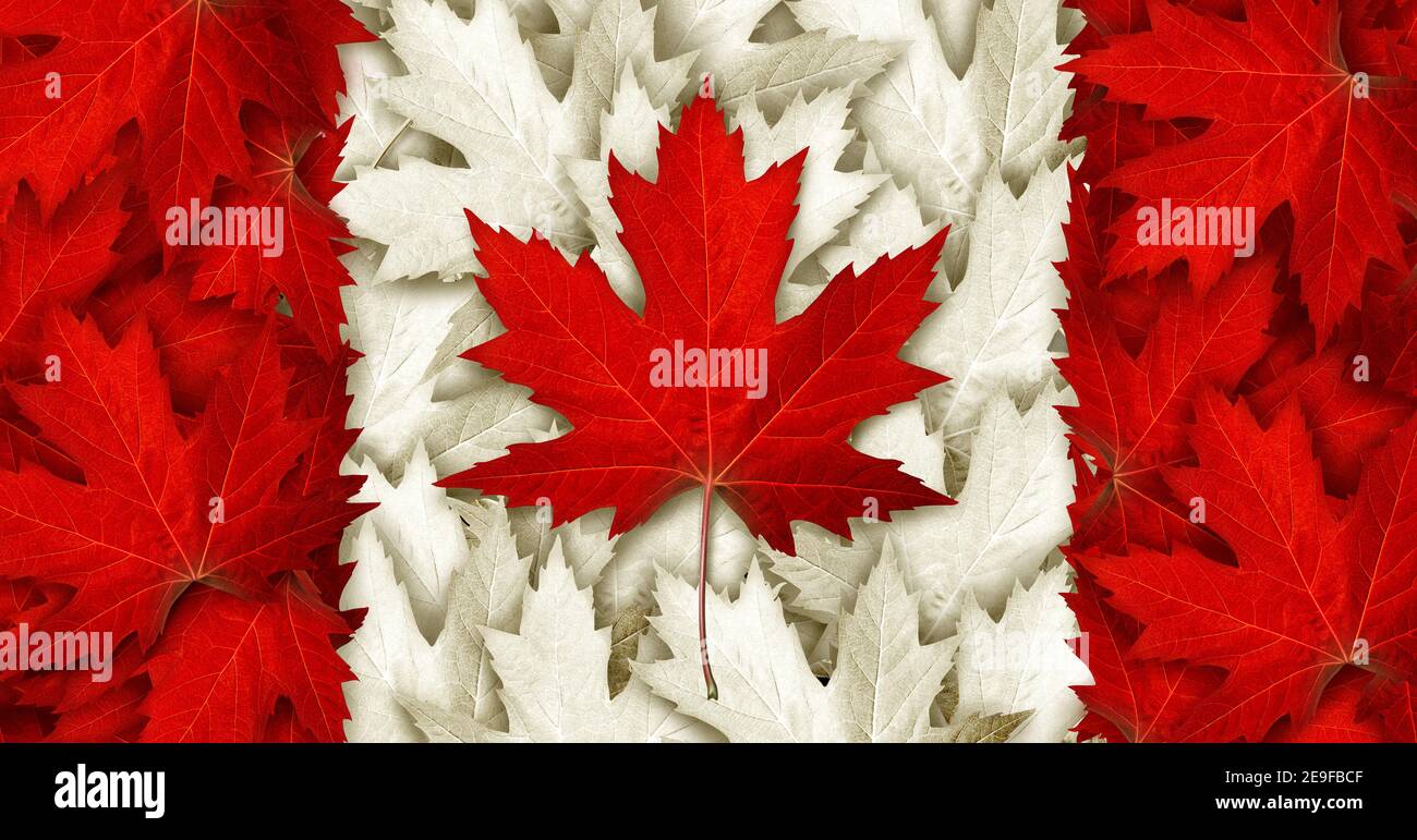 Drapeau de feuilles du Canada fait avec un style d'illustration tridimensionnel comme feuilles d'érable rouge pour un symbole d'automne comme un concept de fierté canadienne sur le thème saisonnier. Banque D'Images