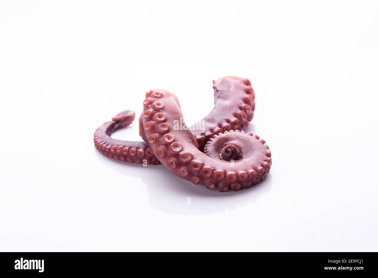 tentacules de pieuvre ragoût isolé sur fond blanc. Banque D'Images