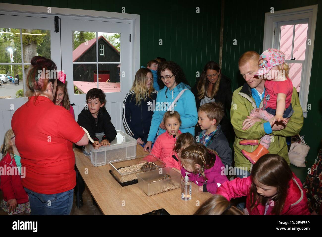 Scotland, Ayrshire, Boswell Book Festival Dumfries House Mai 2017. Nick Sharratt, auteur et illustrateur pour enfants, divertit les enfants au festival Banque D'Images