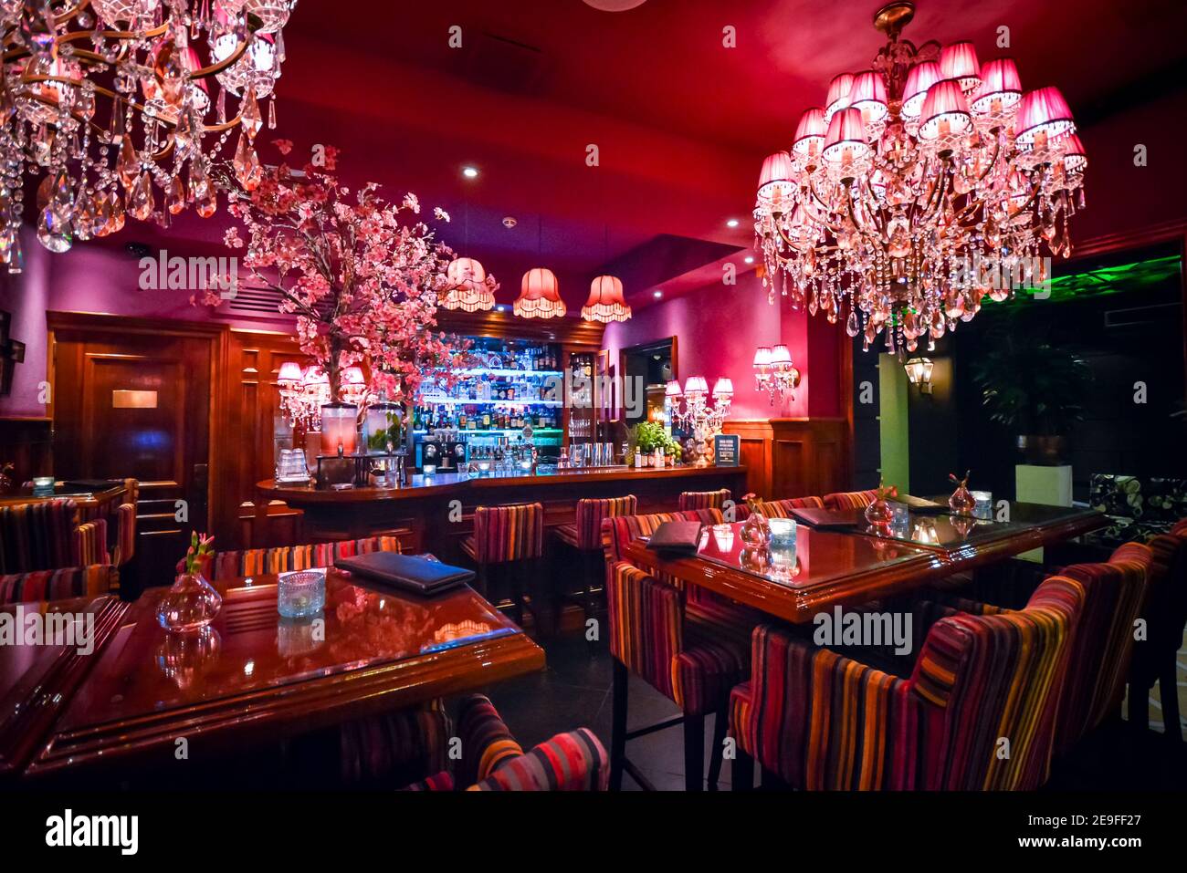 Un petit bar et café à Amsterdam dispose d''un intérieur luxueux avec éclairage rose, bleu cabinet à boisson et des lustres en cristal Banque D'Images