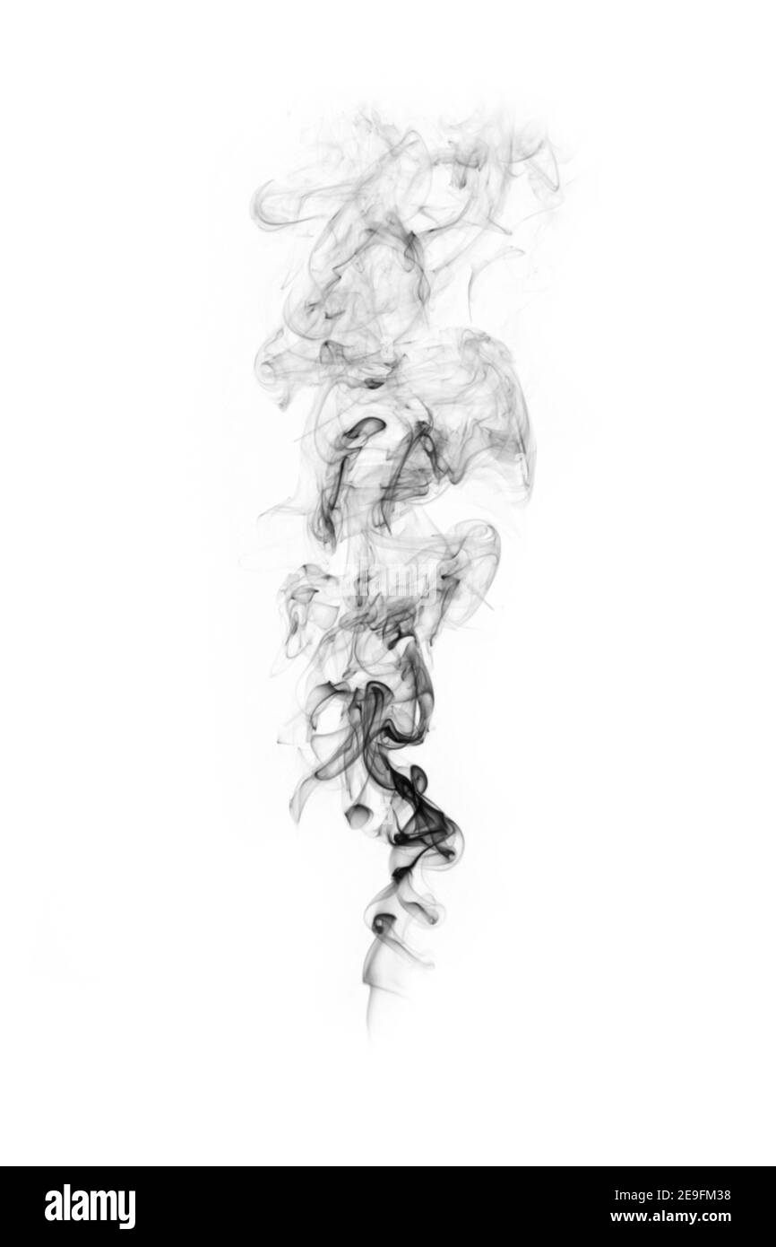 Smokey diffuse sur un fond blanc pur Banque D'Images