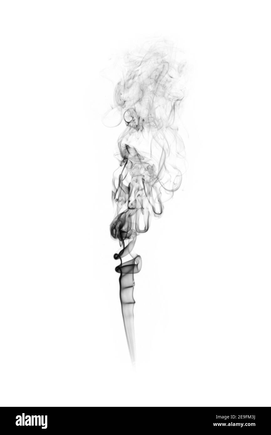 Smokey diffuse sur un fond blanc pur Banque D'Images