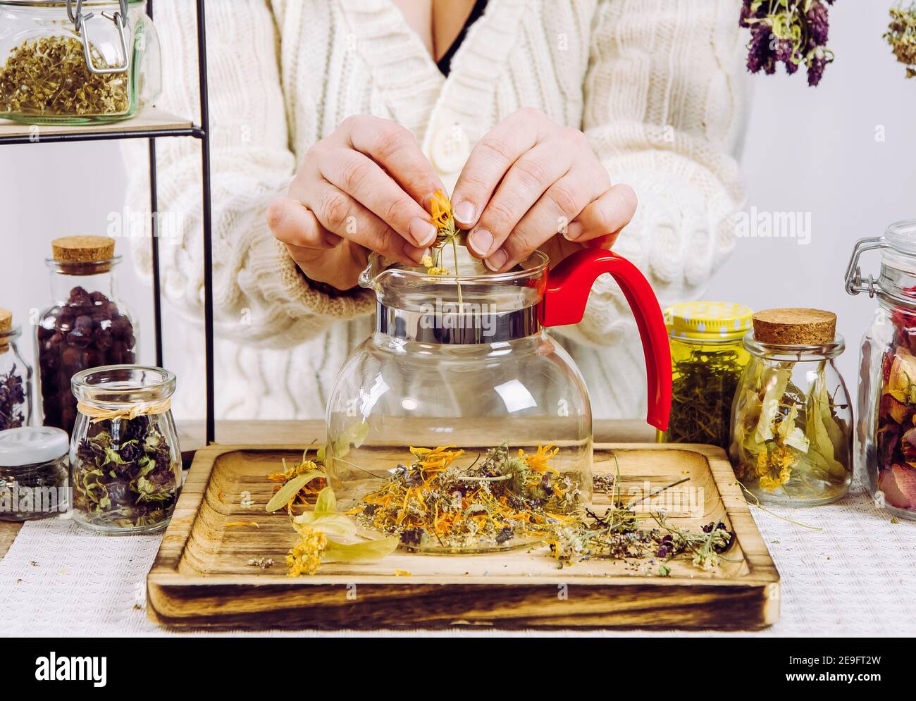 Vue rapprochée de la femme herboriste mélangeant diverses herbes séchées pour le thé médicinal traditionnel. Herbes séchées dans des pots en verre sur fond. Banque D'Images