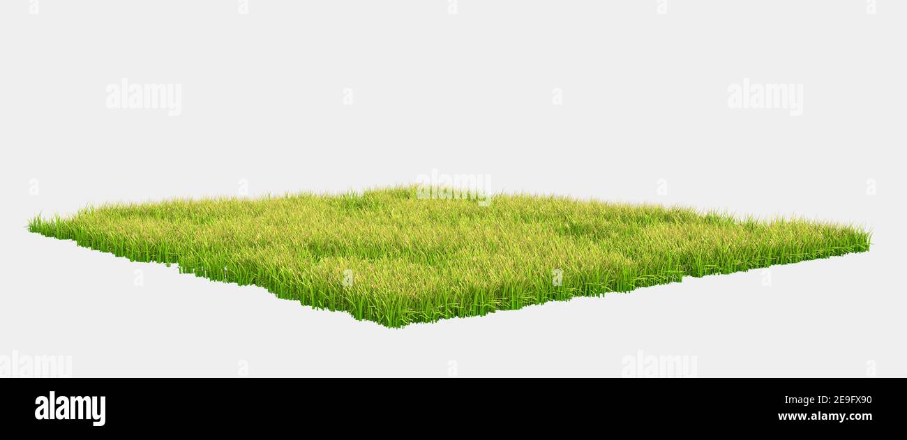 Bannière de champ d'herbe pour la composition isolée sur fond avec masque. rendu 3d - illustration Banque D'Images