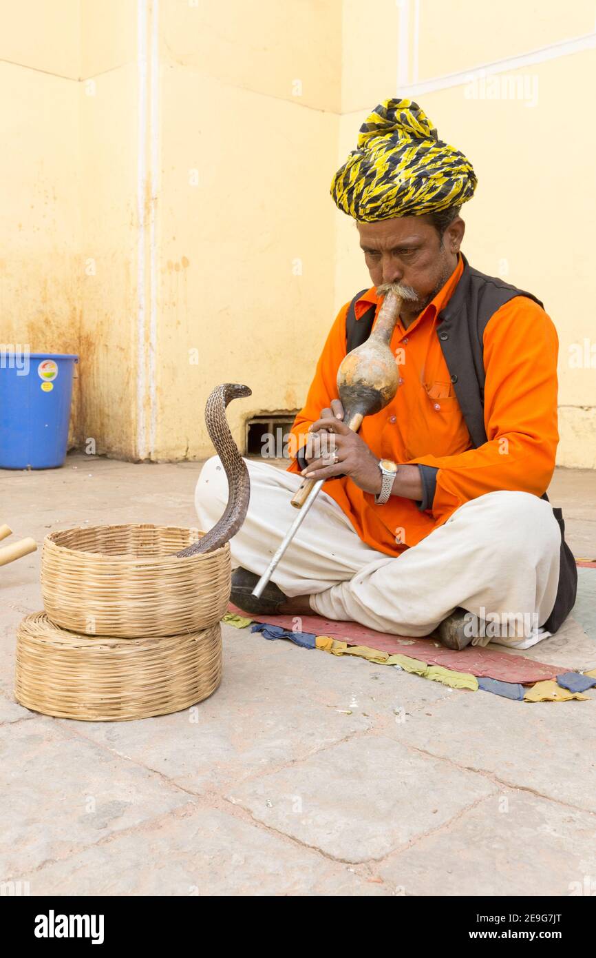 Inde Jaipur Snake Charmer en train de jouer avec Cobra Banque D'Images