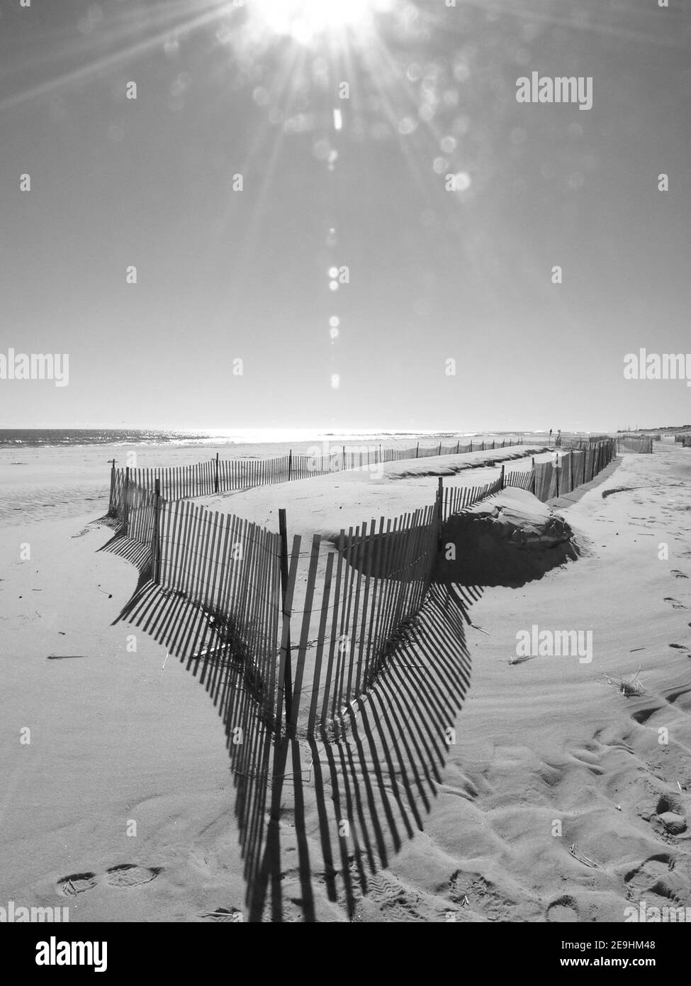 Lever du soleil sur la rive du New Jersey avec de longues ombres, soleil éclatant en noir et blanc. Banque D'Images