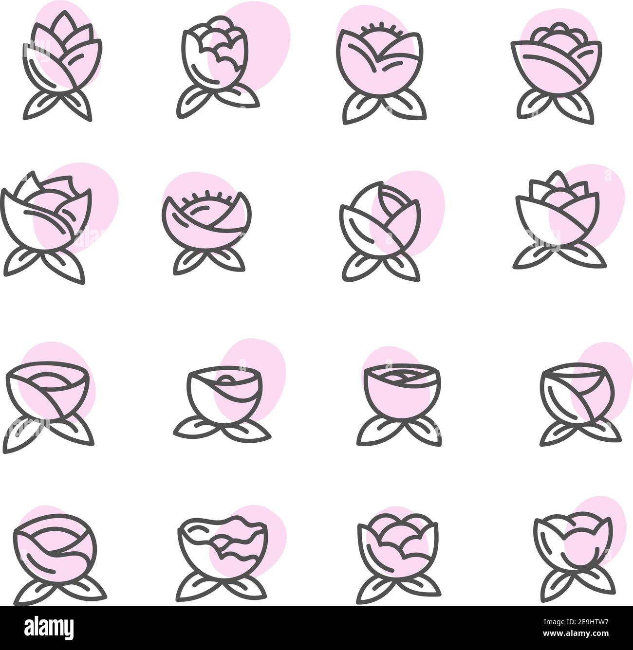 Les fleurs roses, illustration, vecteur sur fond blanc. Illustration de Vecteur