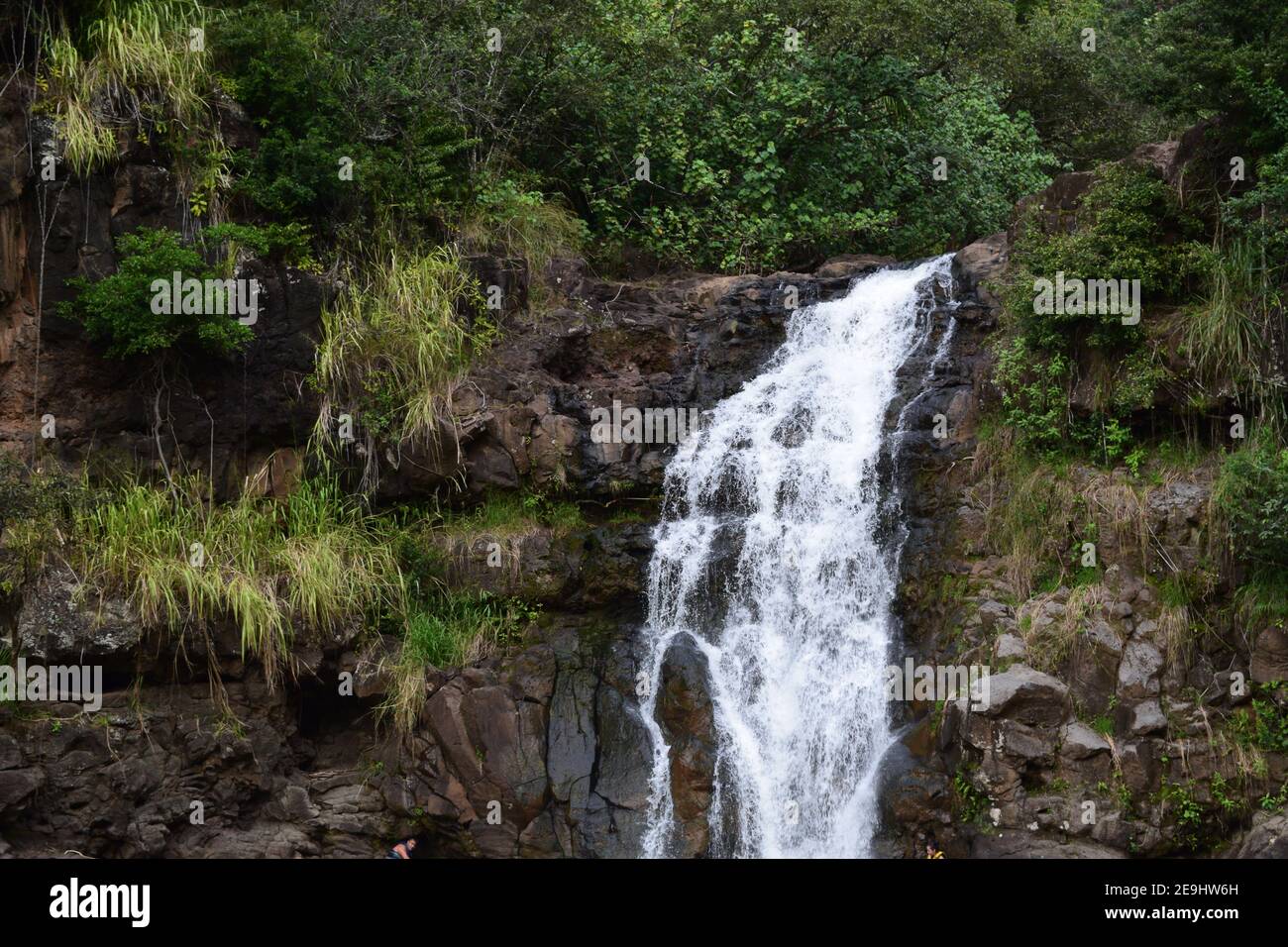 Une des quelques chutes d'eau du jardin botanique de la vallée de Waimea qui apparaissent après de fortes pluies. Banque D'Images