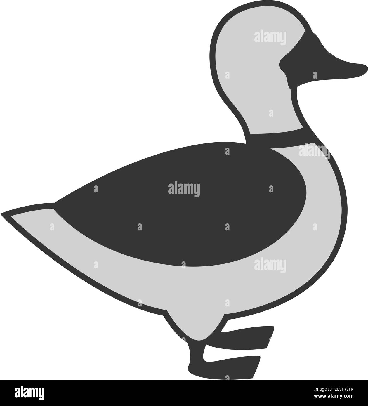 Canard gris, illustration, vecteur sur fond blanc. Illustration de Vecteur