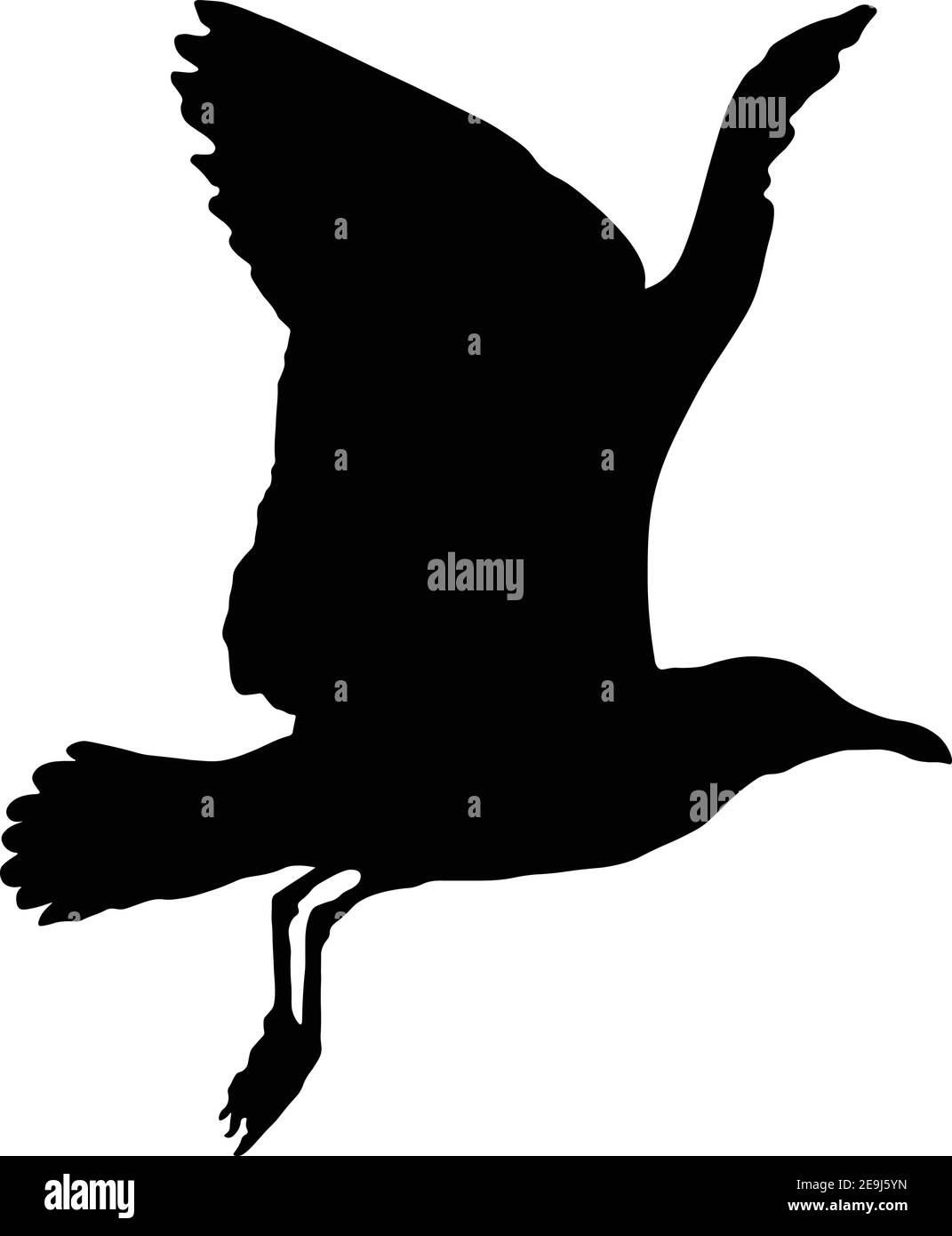 Mouette en silhouette de vol en noir isolée sur fond blanc Illustration de Vecteur