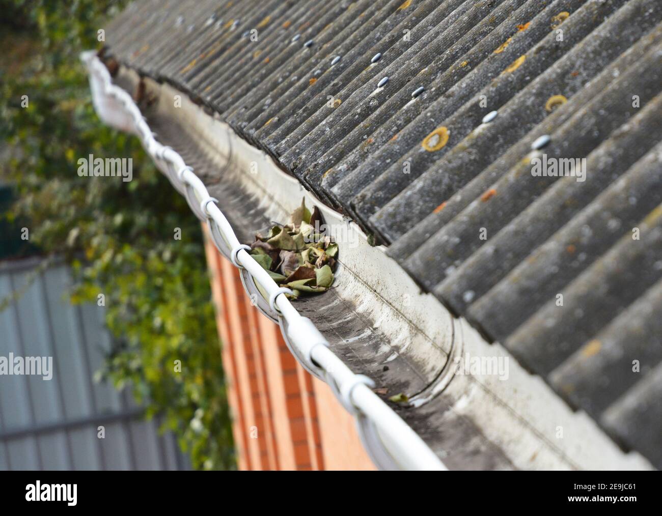 Gouttière nettoyage des feuilles en automne. Toit en amiante. Banque D'Images