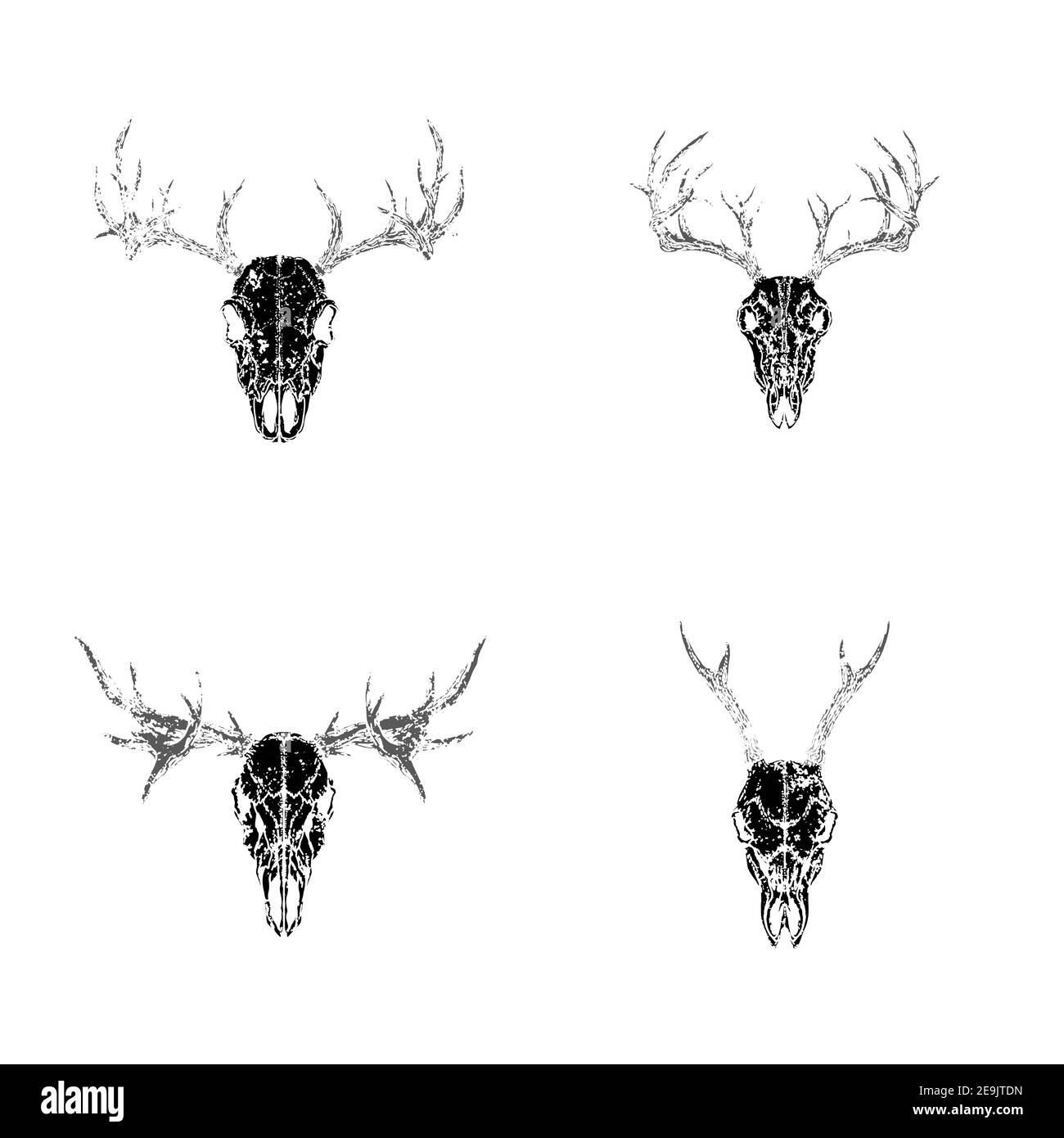 Ensemble vectoriel de crânes dessinés à la main d'animaux cornés : cerf, cerf et orignal sur fond blanc. Silhouettes noires à texture grunge. Pour votre conception, pr Illustration de Vecteur Ensemble vectoriel de crânes dessinés à la main d'animaux cornés : cerf, cerf et orignal sur fond blanc. Silhouettes noires à texture grunge. Pour votre conception, pr Illustration de Vecteur