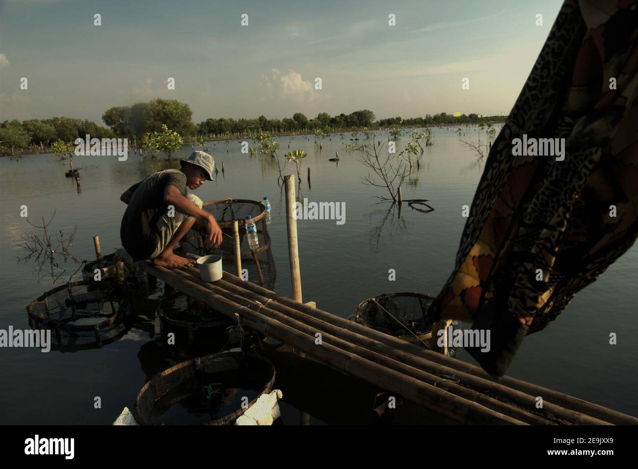 Un homme qui s'occupe de son installation aquacole a placé sur une zone de restauration de mangrove dans la zone côtière de Jakarta, en Indonésie. Banque D'Images