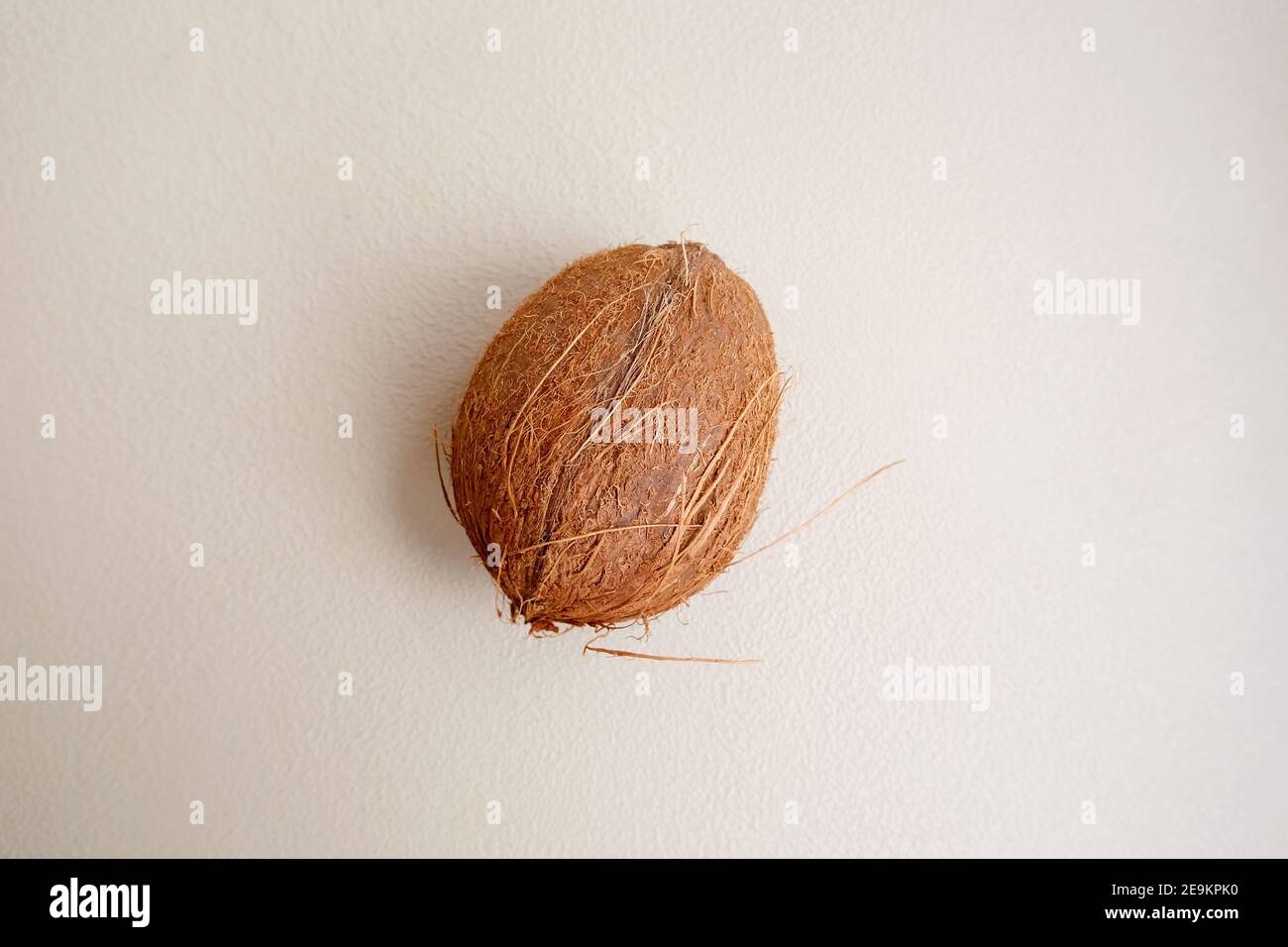 Papier peint à la noix de coco de style minimaliste. Exotique tropical Banque D'Images