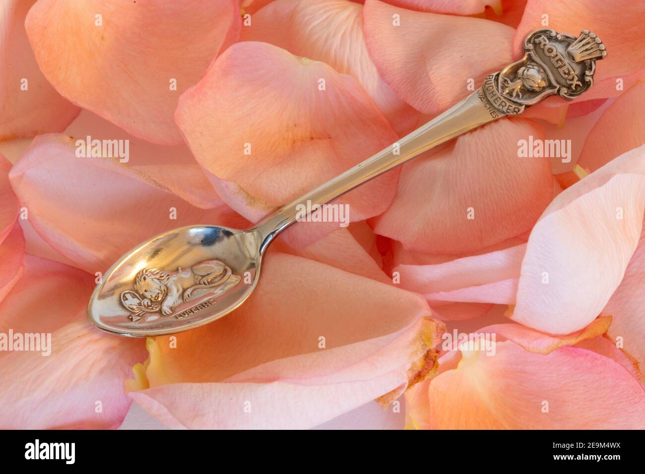 Cuillère de demitasse souvenir sur fond de pétales de rose Banque D'Images