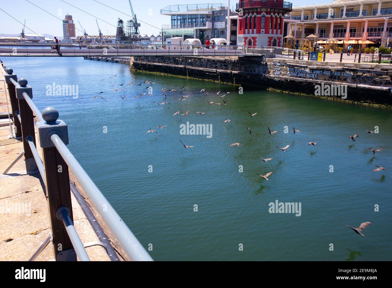 Front de mer- Cape Town, Afrique du Sud - 03-02-2021 photo créative d'un troupeau d'oiseaux qui s'envolent majestueusement sous le pont traversant le front de mer. Banque D'Images