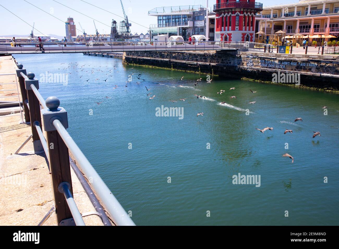 Front de mer- Cape Town, Afrique du Sud - 03-02-2021 photo créative d'un troupeau d'oiseaux qui s'envolent majestueusement sous le pont traversant le front de mer. Banque D'Images