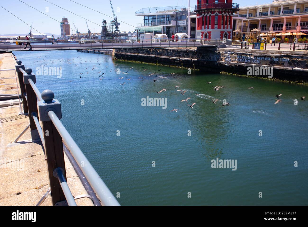 Front de mer- Cape Town, Afrique du Sud - 03-02-2021 photo créative d'un troupeau d'oiseaux qui s'envolent majestueusement sous le pont traversant le front de mer. Banque D'Images