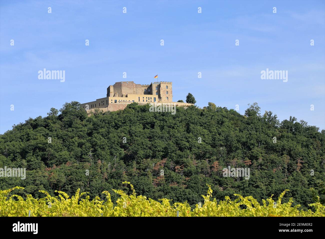 Vue des vignes au Haardt avec le château de Hambach En arrière-plan (Allemagne) Banque D'Images