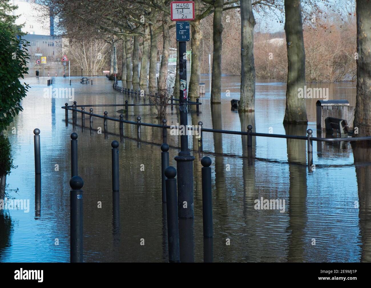 Une rampe de feux de rue et d'arbres dépasse du l'eau de la promenade inondée passerelle pendant l'inondation et Inondation de février 2021 à Mayence Banque D'Images