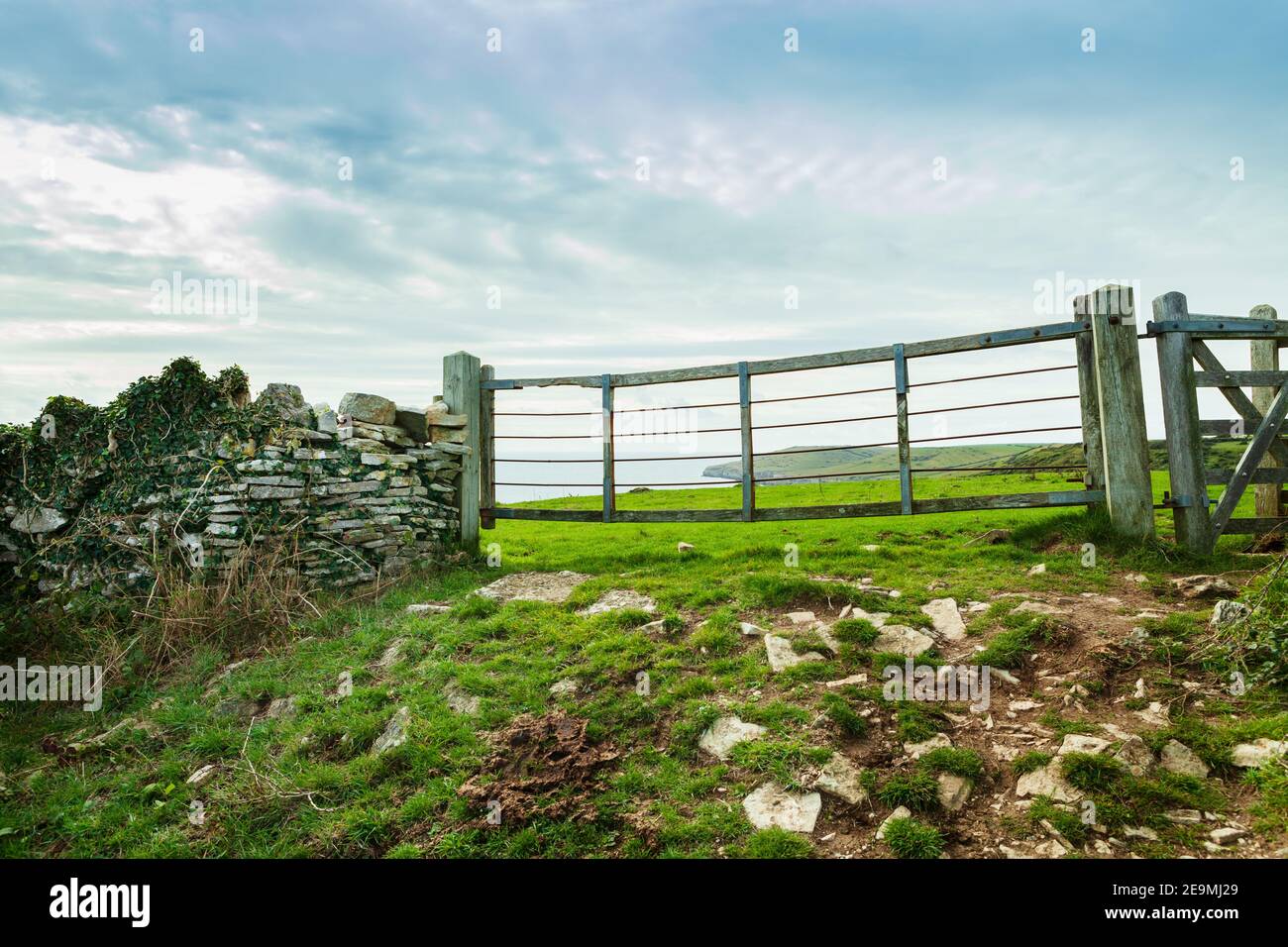 Porte donnant sur la campagne au bord de la danse, Dorset Banque D'Images