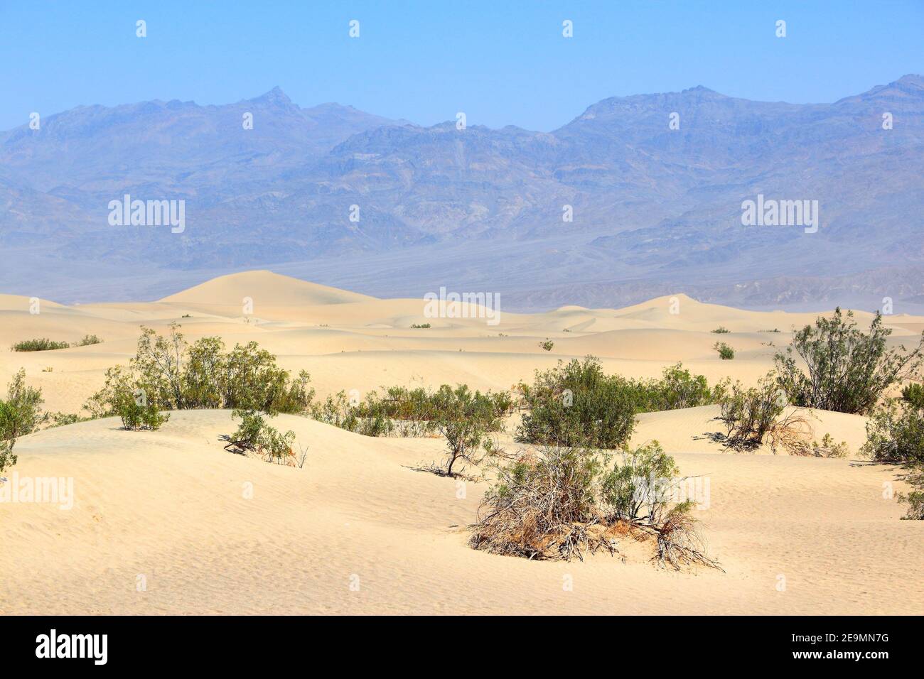 Death Valley dunes de sable paysage. Désert de Mojave en Californie, États-Unis. Banque D'Images