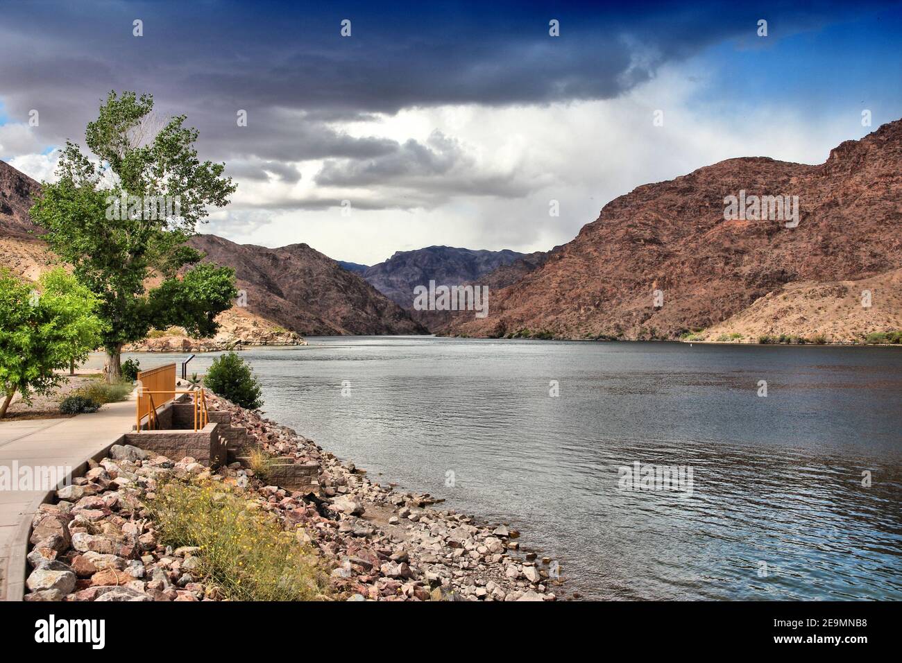 Saule plage Banque de photographies et d’images à haute résolution Alamy