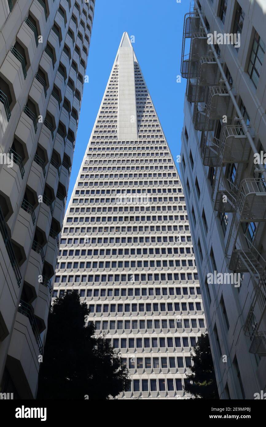 SAN FRANCISCO, USA - 9 avril 2014 : Transamerica Pyramid gratte-ciel de San Francisco, USA. C'est le plus grand bâtiment à San Francisco avec hauteur de Banque D'Images