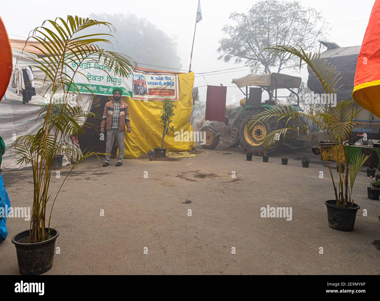 belles plantes pendant la manifestation à la frontière tikri. ils protestent contre la nouvelle loi agricole par le gouvernement indien. Banque D'Images