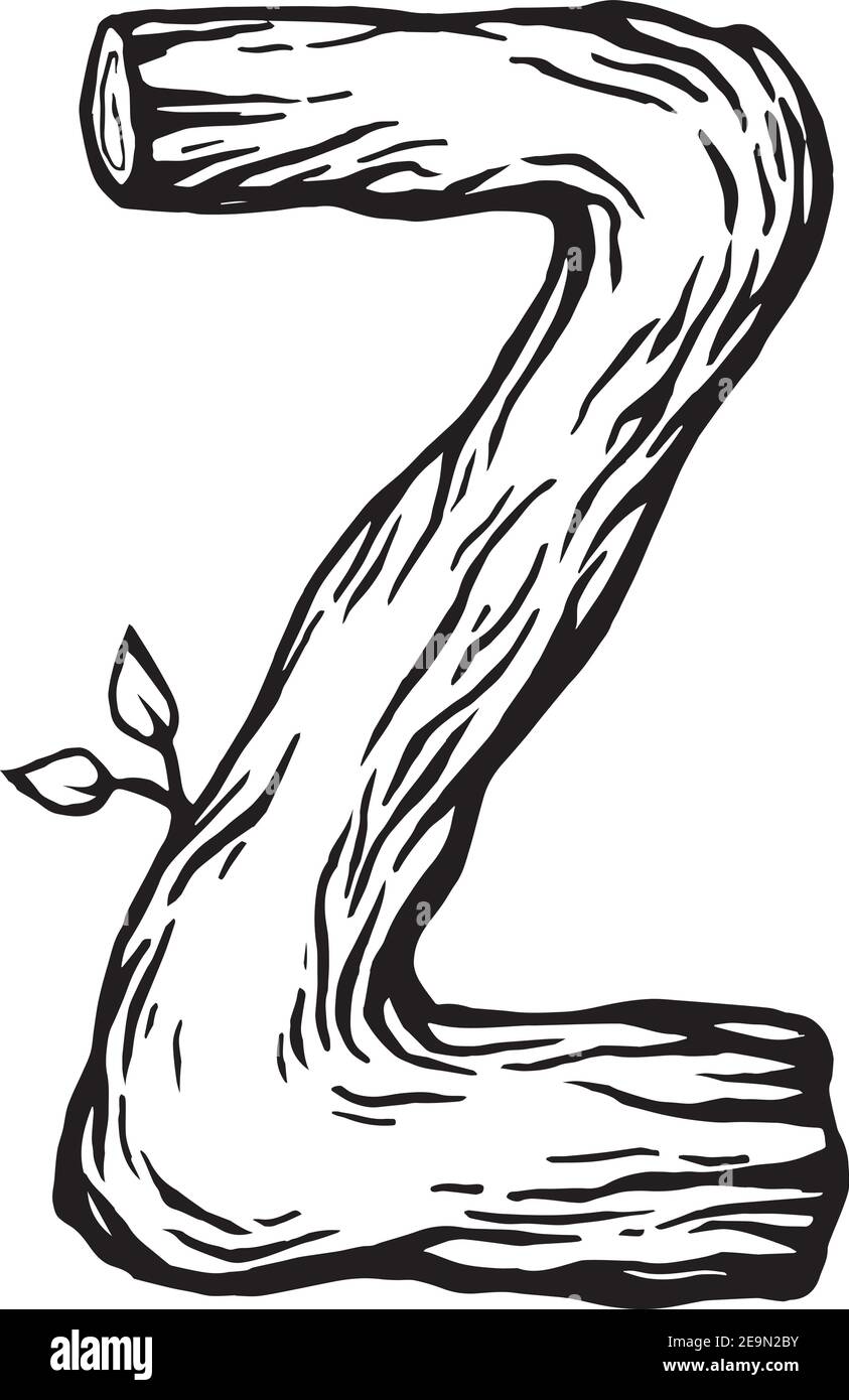 Gravure noire lettre Z en bois avec feuilles le fond blanc Illustration de Vecteur