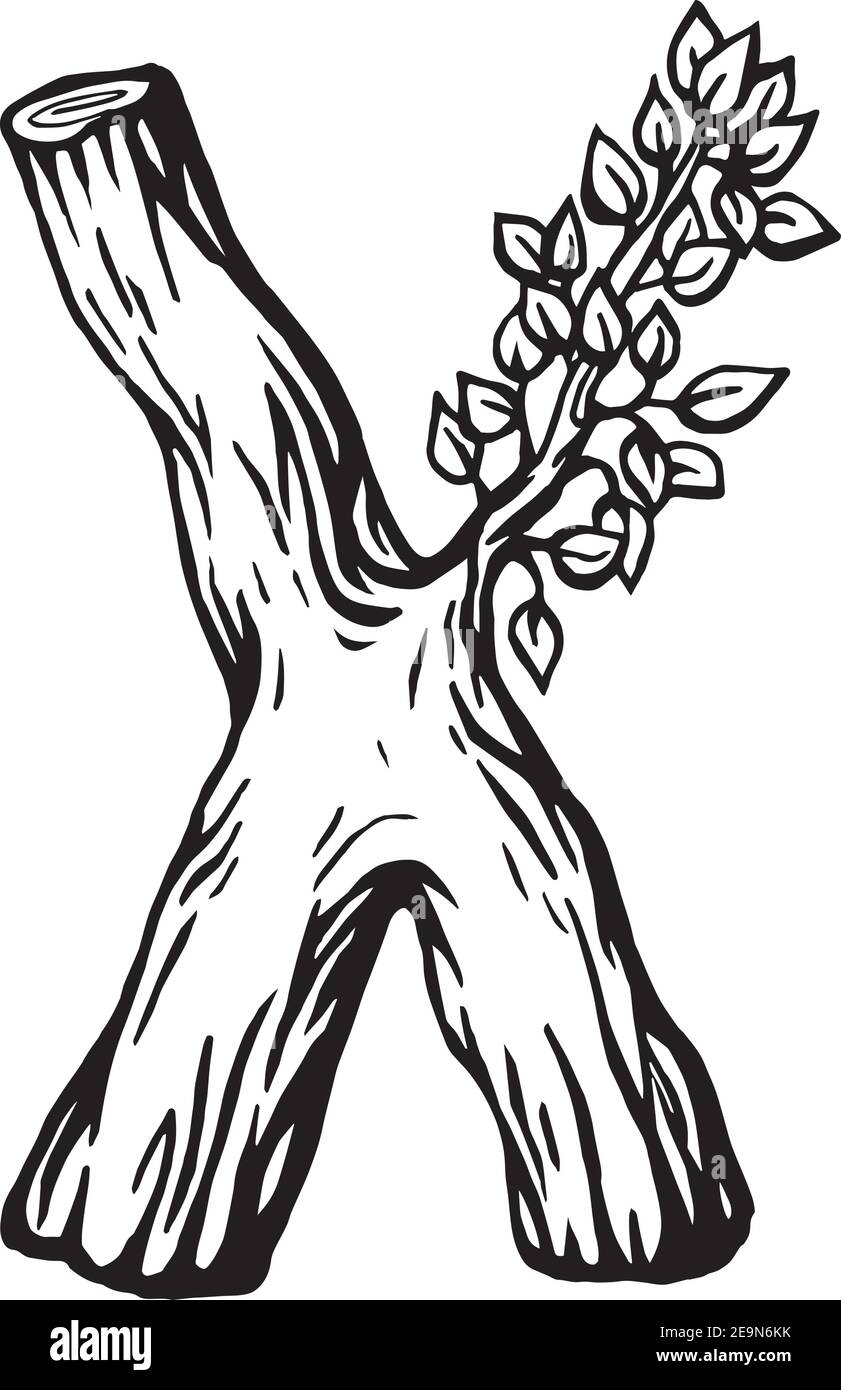 Gravure noire lettre x en bois avec feuilles le fond blanc Illustration de Vecteur