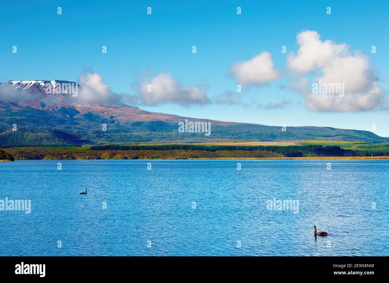 Paysage de montagne avec beau lac, Nouvelle-Zélande Banque D'Images
