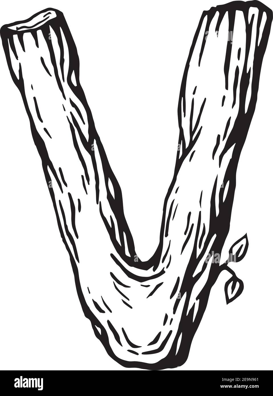 Gravure noire lettre V en bois avec feuilles le fond blanc Illustration de Vecteur