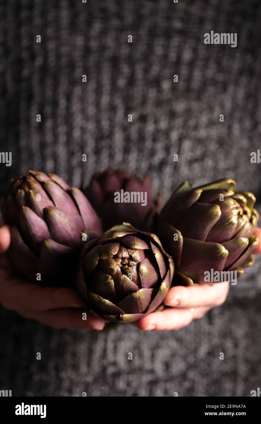 Artichauts frais isolés sur fond sombre. Gros plan. Banque D'Images