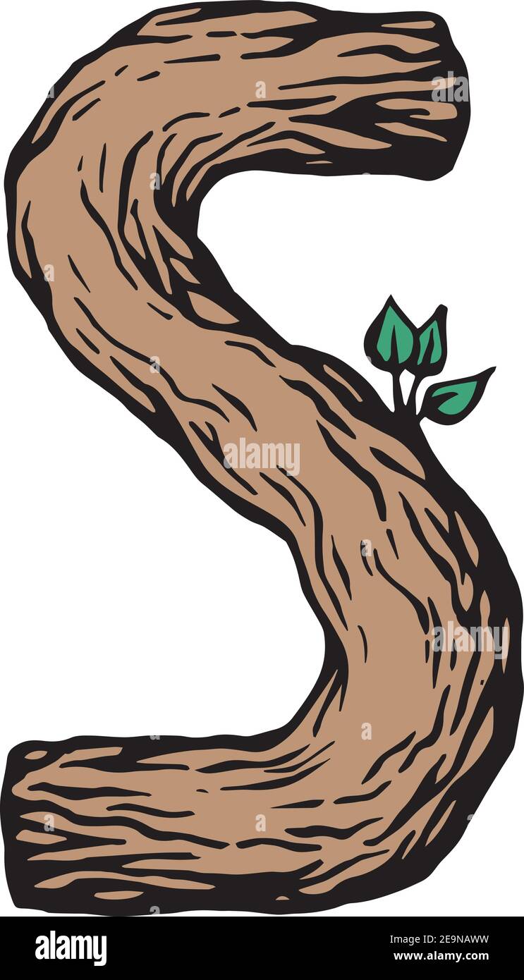 Gravure de couleur lettre S en bois avec feuilles le fond blanc Illustration de Vecteur