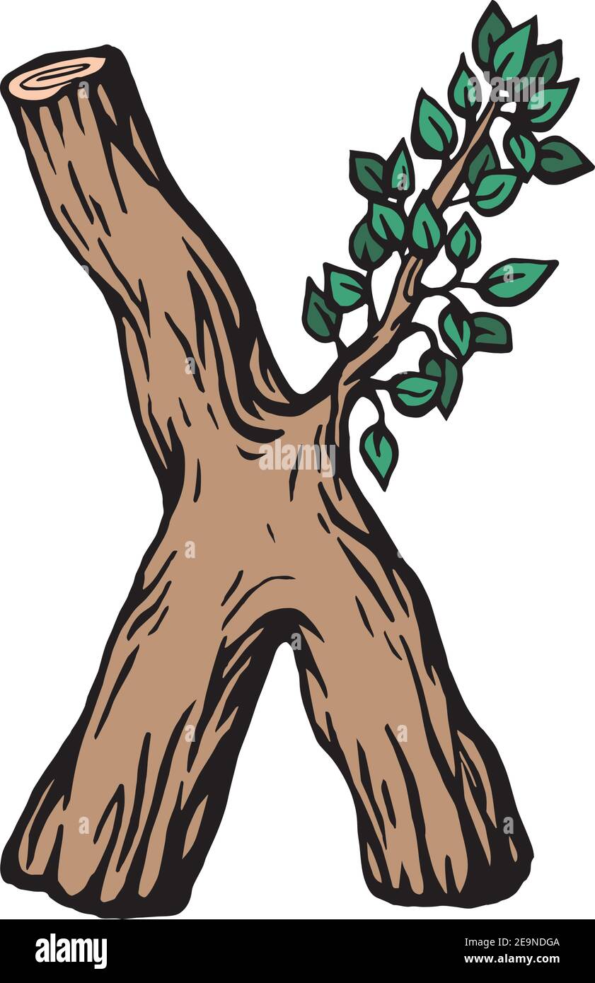 Gravure de couleur lettre X en bois avec feuilles le fond blanc Illustration de Vecteur