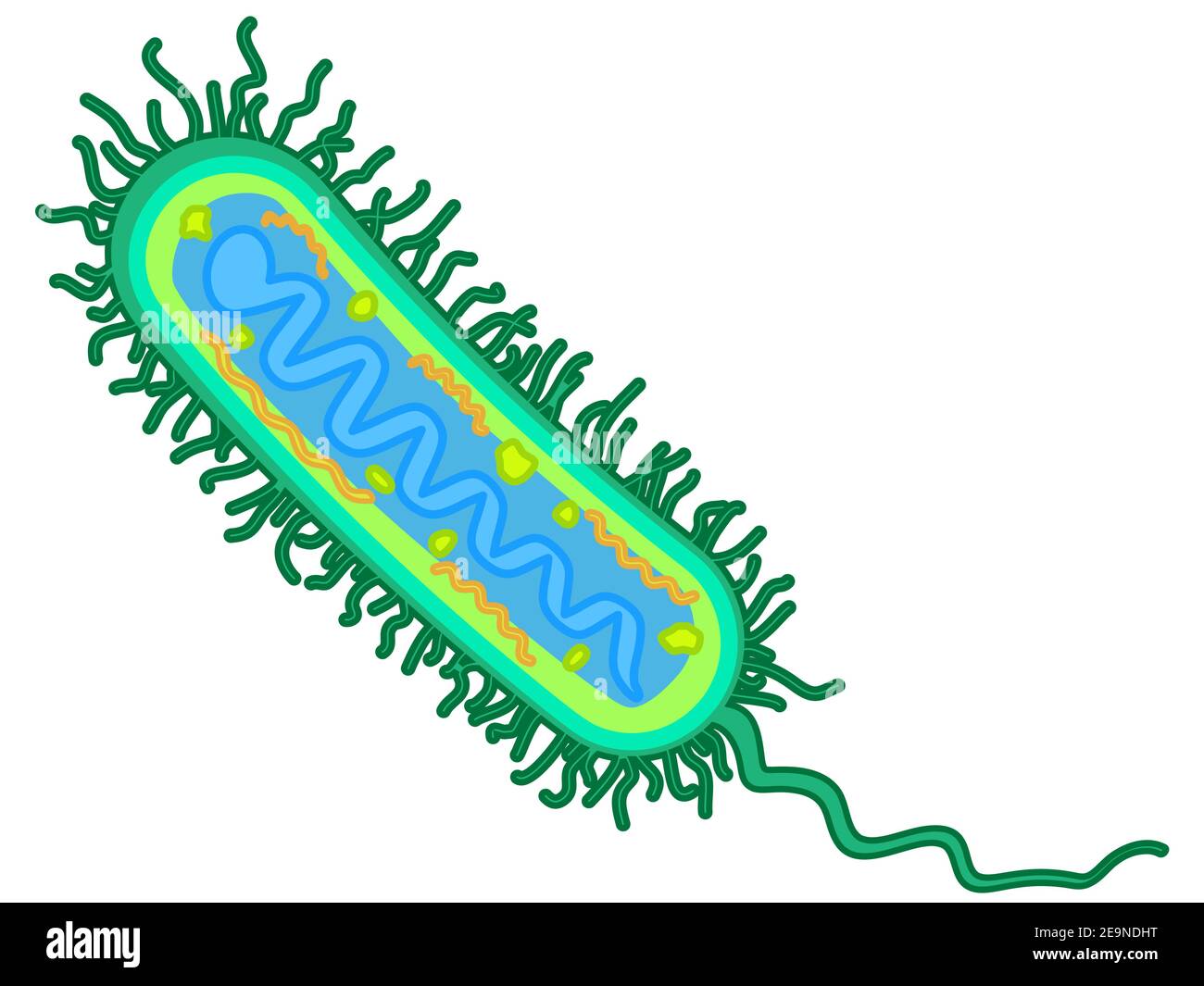 Illustration de la bactérie abstraite réceptive Illustration de Vecteur