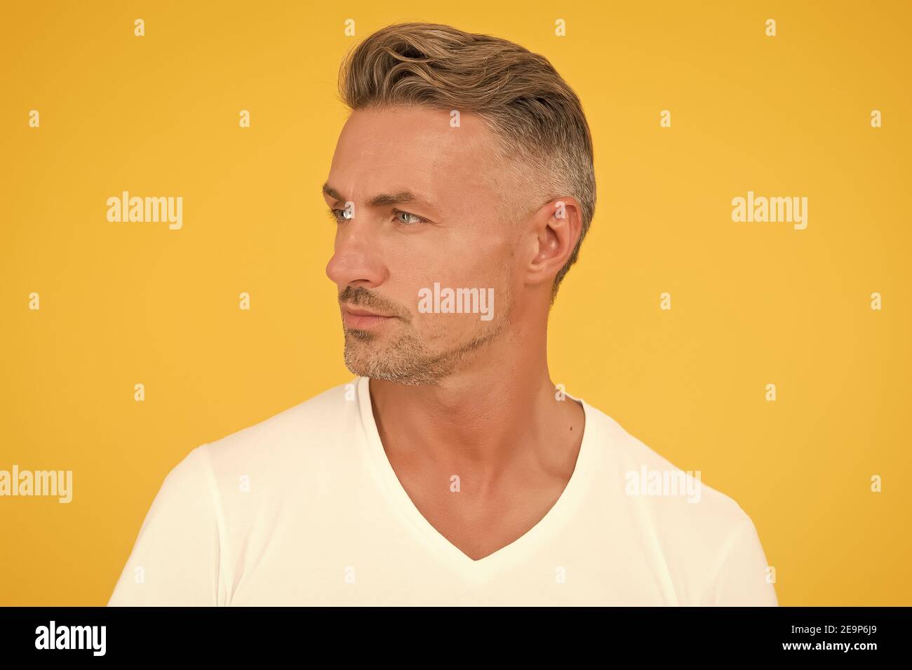 Concept de salon de coiffure. Salon de coiffure et salon de coiffure. Prenez le vieillissement avec respect. Homme mûr bon look modèle. Shampooing pour cheveux argentés. Cheveux Grizzle. Traiter les racines grises. Cheveux bien entretenus pour le visage de l'homme. Banque D'Images Concept de salon de coiffure. Salon de coiffure et salon de coiffure. Prenez le vieillissement avec respect. Homme mûr bon look modèle. Shampooing pour cheveux argentés. Cheveux Grizzle. Traiter les racines grises. Cheveux bien entretenus pour le visage de l'homme. Banque D'Images