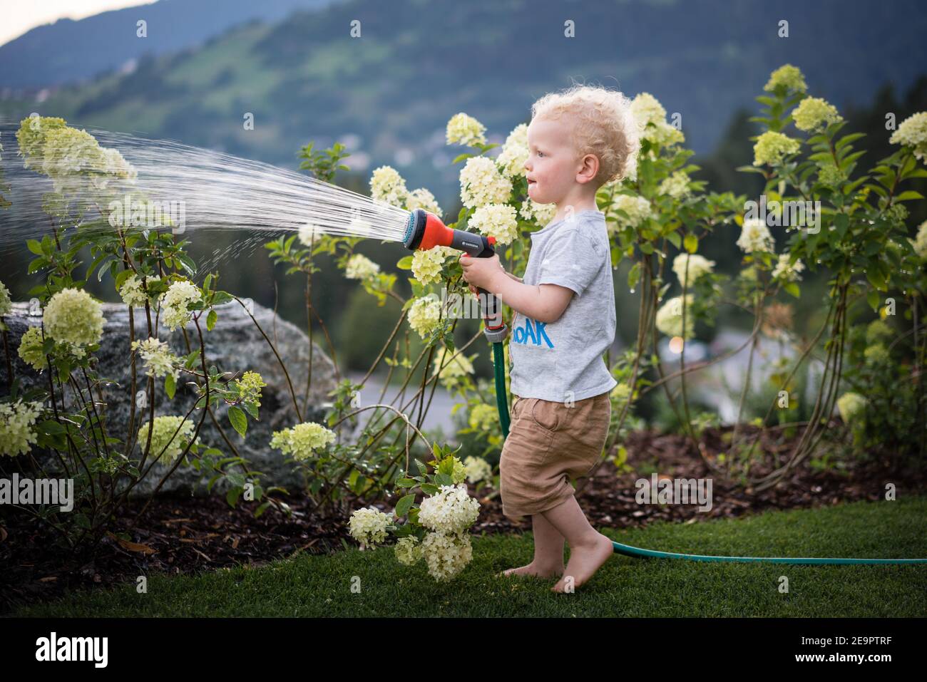 Un garçon debout pieds nus sur les hortensias d'herbe Banque D'Images