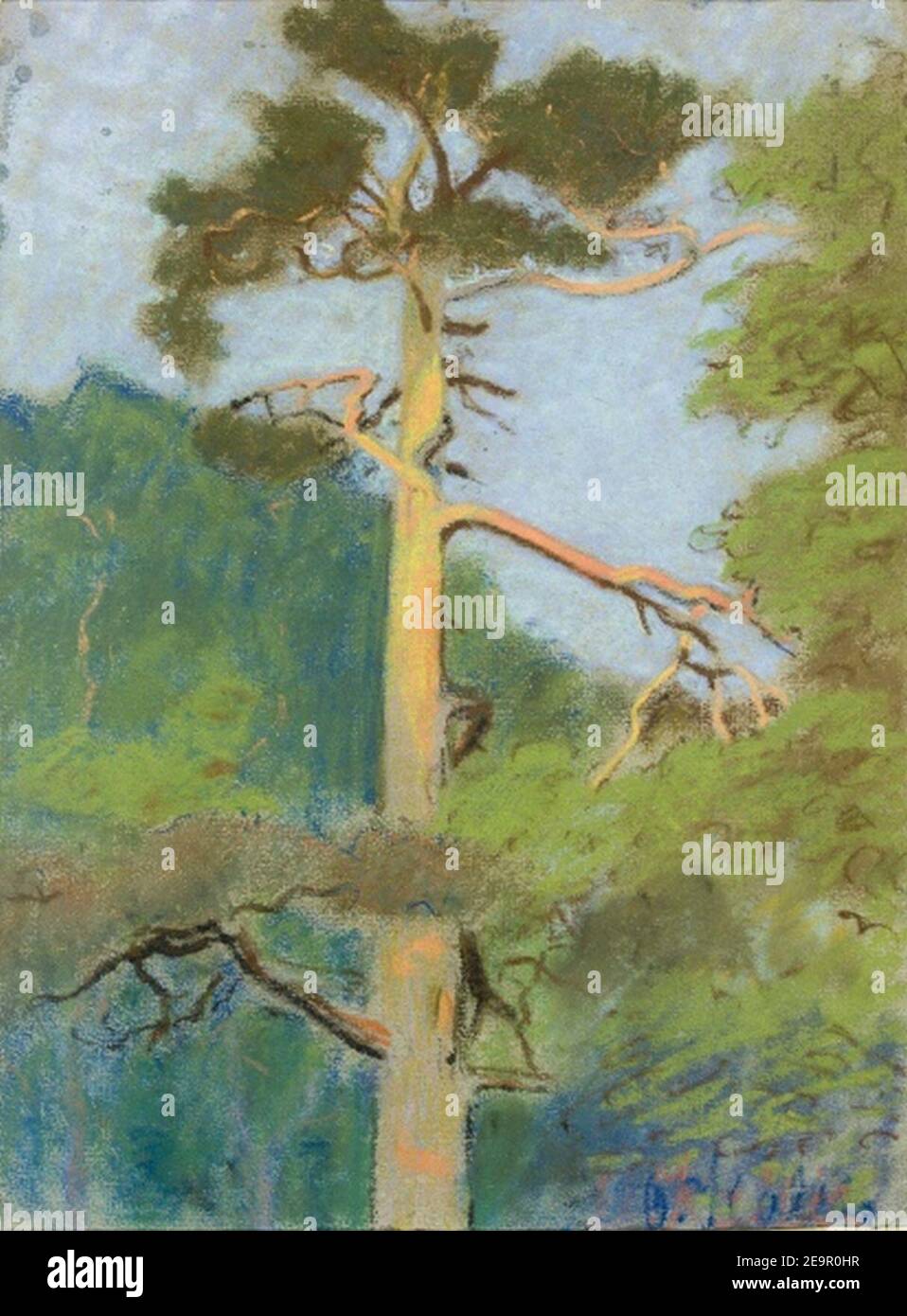 Männi latv, Oskar Kallis, Banque D'Images