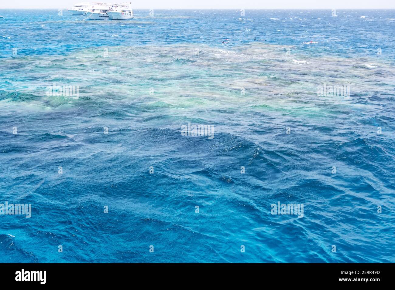 Beaux endroits dans la mer Rouge, péninsule du Sinaï. Récif de corail l'île Blanche. Excursion en bateau avec plongée libre dans le parc national de RAS Mohamed. Destinations de voyage Banque D'Images