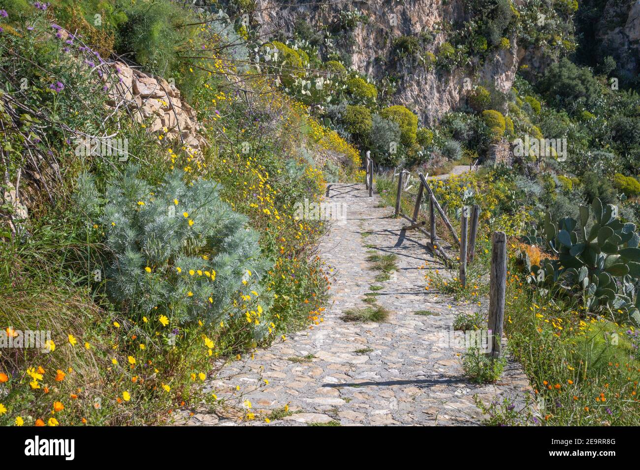 Chemin des fleurs Banque de photographies et d’images à haute