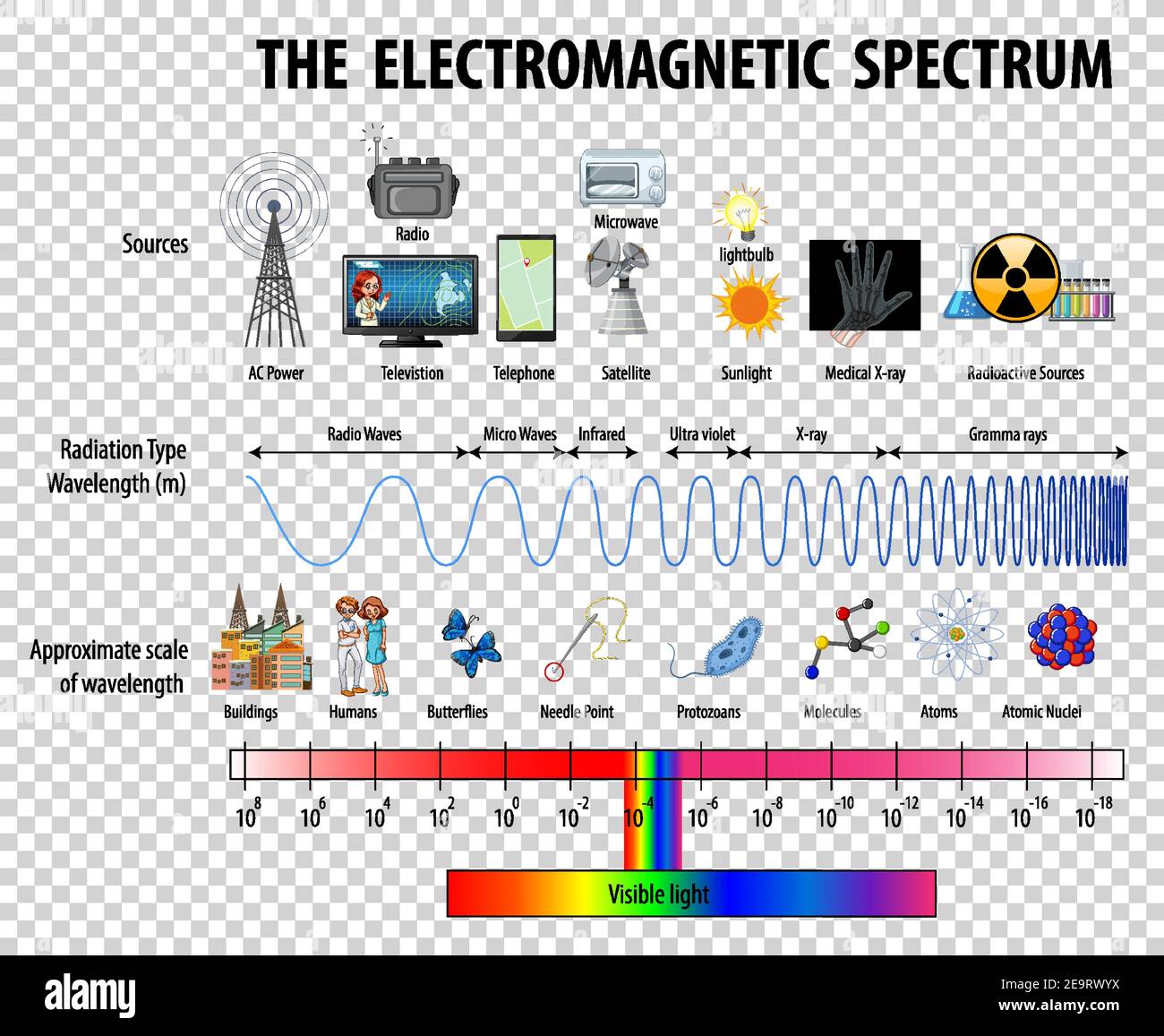 Science diagramme du spectre électromagnétique sur une illustration de fond transparente Illustration de Vecteur