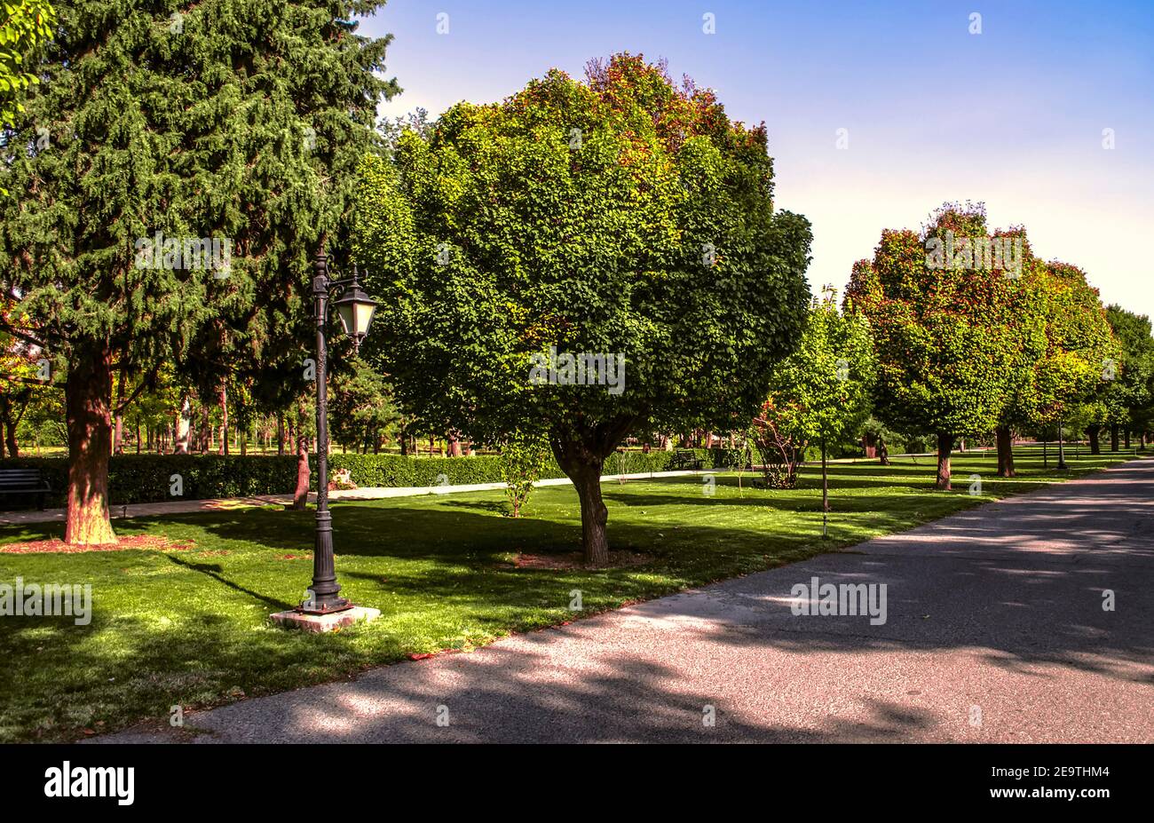 Grands arbres aux bords de l'allée menant à La sortie du jardin botanique dans la banlieue de Téhéran un jour ensoleillé d'automne Banque D'Images