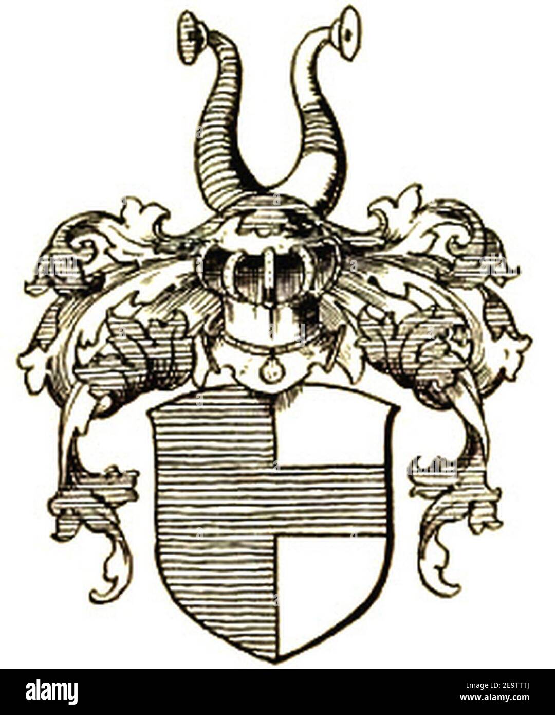 Nagel vda Schönstein Wappen NOUVEAU. Banque D'Images
