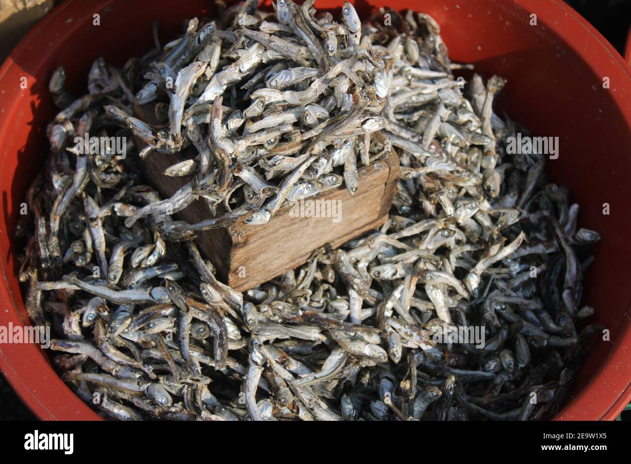 Anchois séchés dans un bassin en plastique rouge à vendre en plein air marché Banque D'Images