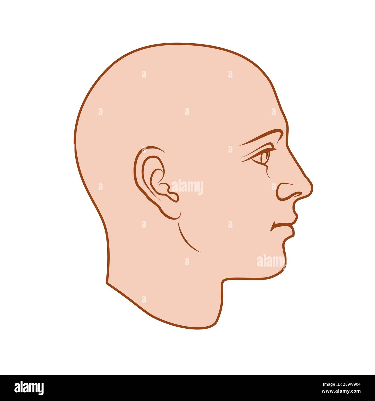 Modèle de tête humaine dessiné à la main dans la vue latérale. Dessin vectoriel plat coloré isolé sur fond blanc. SPE 8. Illustration de Vecteur