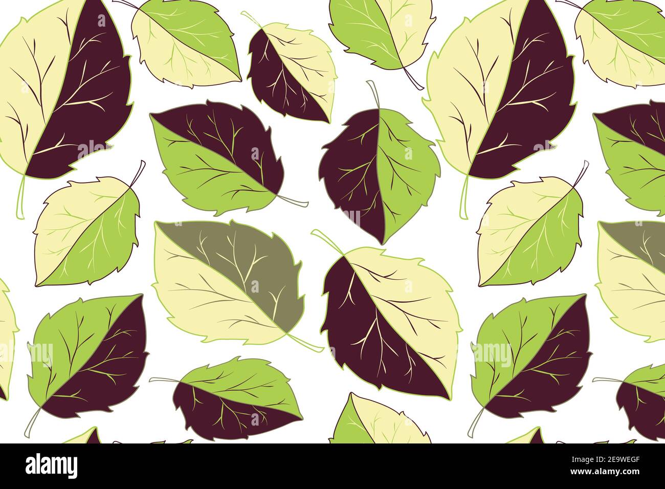 Feuilles de basilic vert et violet pour un motif imprimé Illustration de Vecteur
